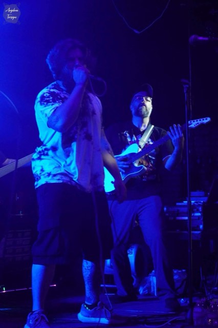Vexed Venue live photo 8