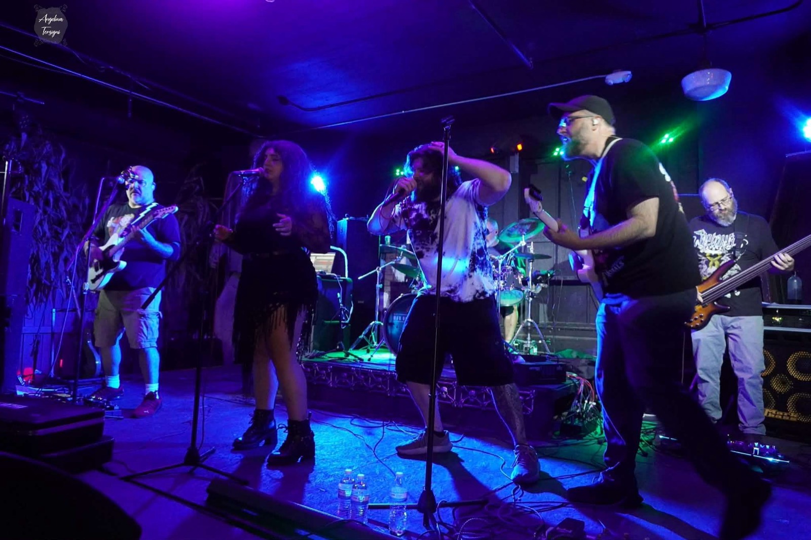 War on the Horizon performing live, full band on stage